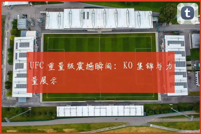 UFC 重量级震撼瞬间：KO 集锦与力量展示