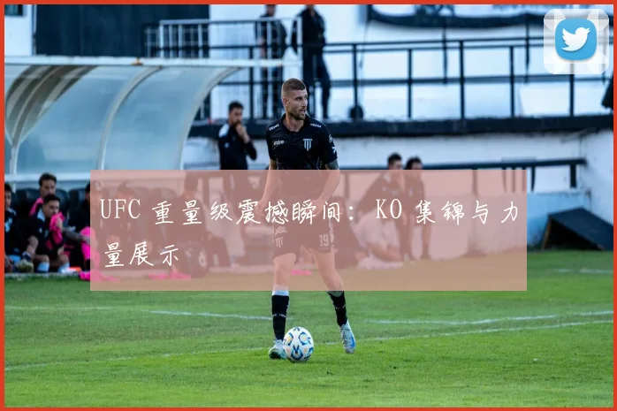 UFC 重量级震撼瞬间:KO 集锦与力量展示